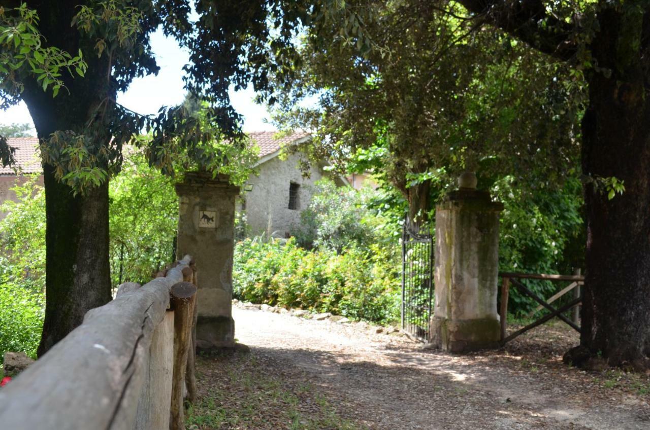 Bed and Breakfast Casale Colleoni Tívoli Exterior foto